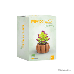 BRIXIES Plus Mini Blume "Venus"