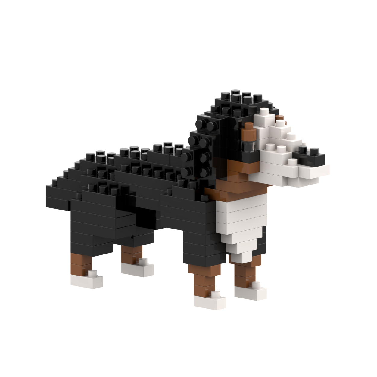 BRIXIES Bernhardiner