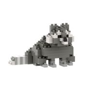 BRIXIES Waschbär