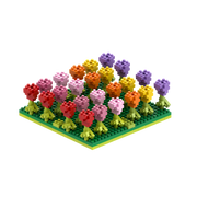 BRIXIES Tulpenfeld