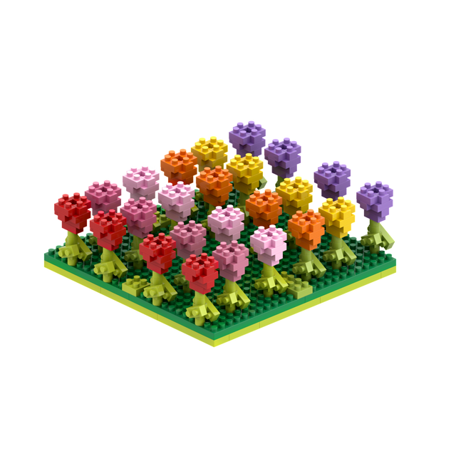 BRIXIES Tulpenfeld