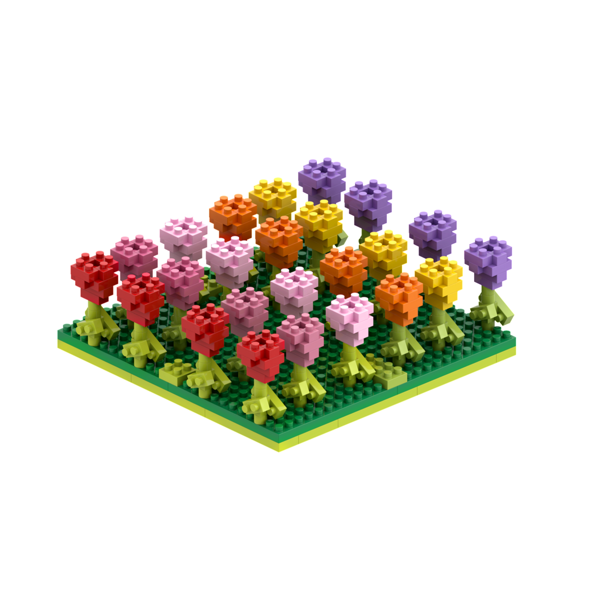 BRIXIES Tulpenfeld
