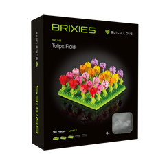 BRIXIES Tulpenfeld