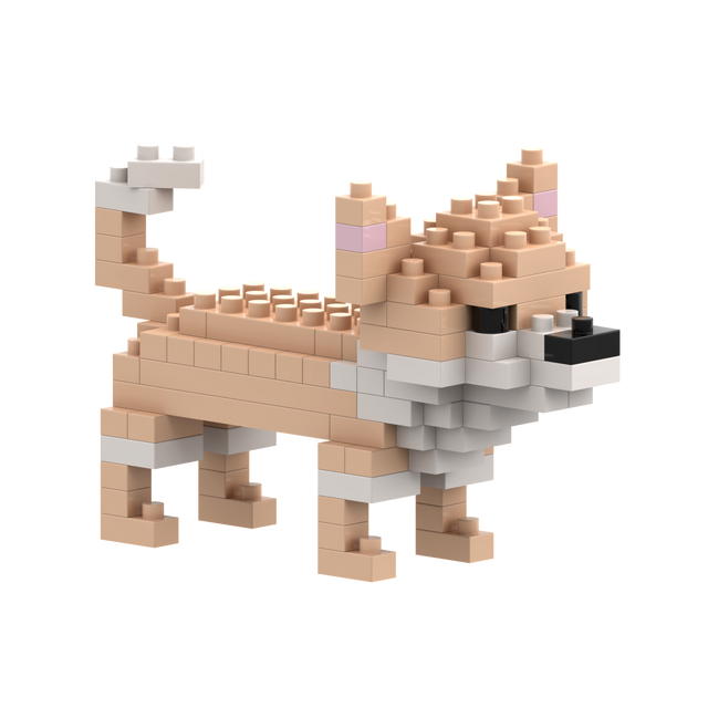 BRIXIES Chihuahua