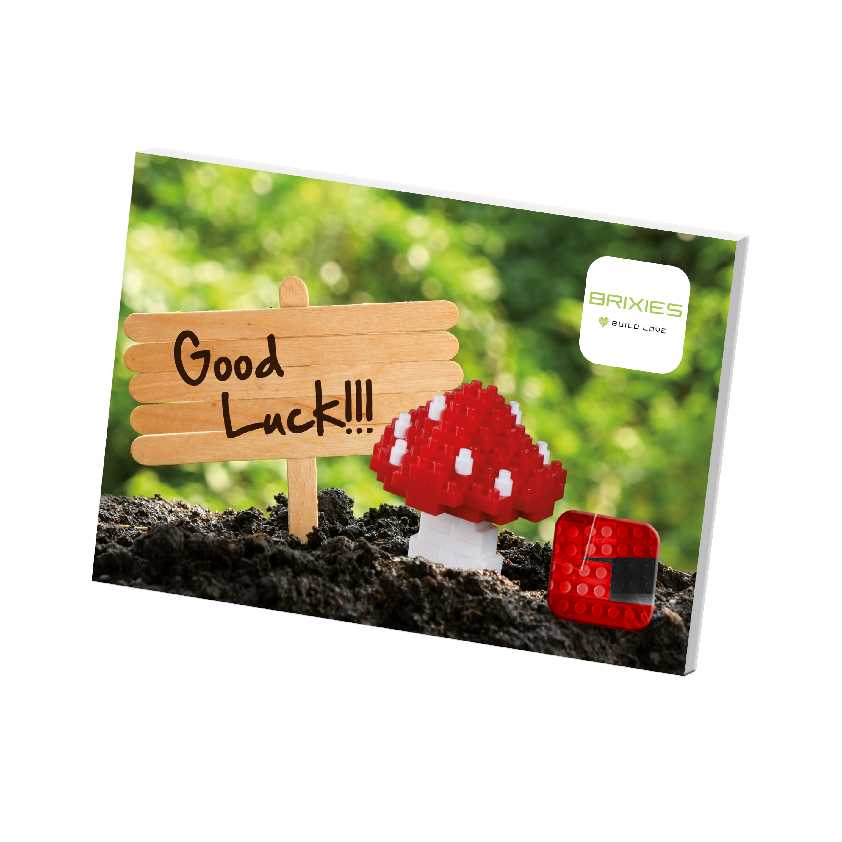BRIXIES Postkarte Glückspilz